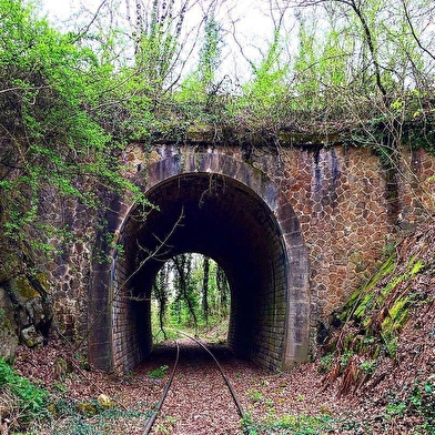 Vélorail du Bazois Morvan