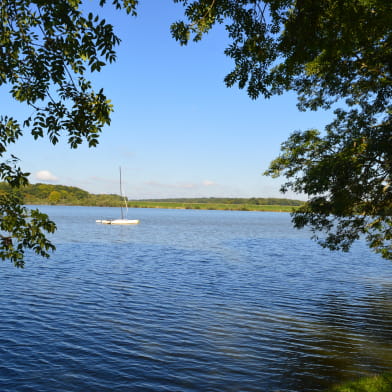 Baignade à l'étang de Baye