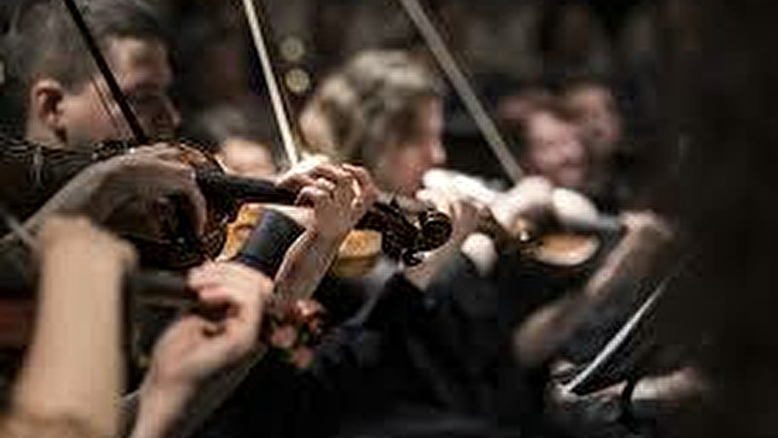 Concert 'Le Vent sur l'Arbre'