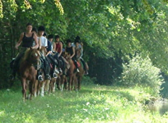 Rejoins la joyeuse bande des poneys de Prunevaux - NOLAY