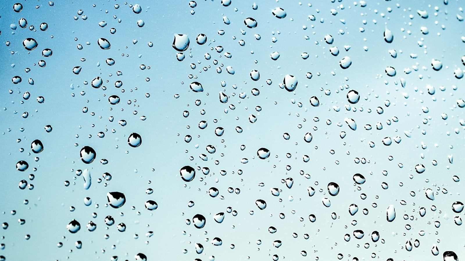 Festival de la Pluie