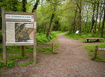 Sentier de la nature du domaine de la Beue de Lépido le papillon - VARENNES-VAUZELLES