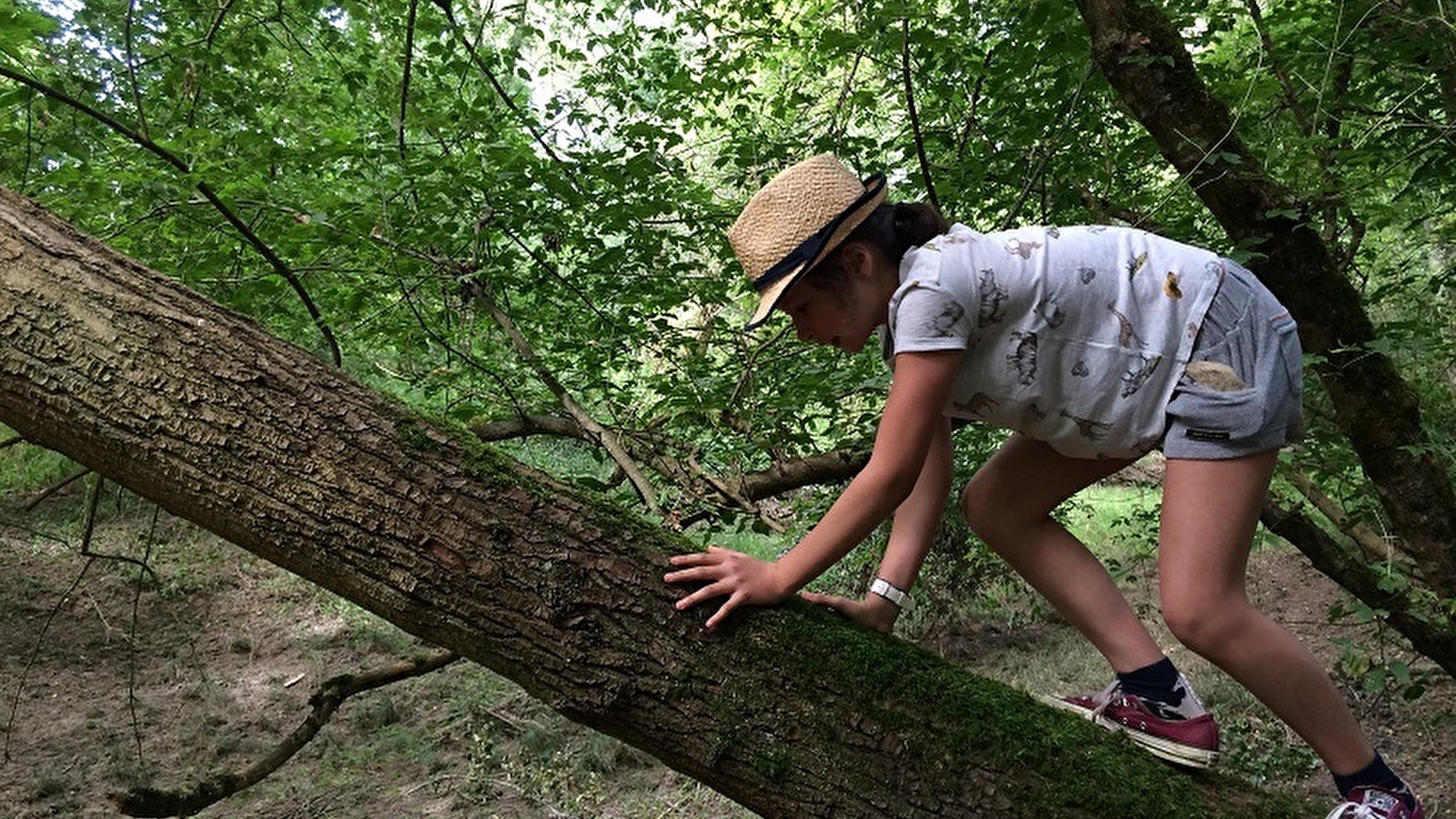 Les Aventuriers du Milieu de Loire - Journée nature pour les 6-12 ans
