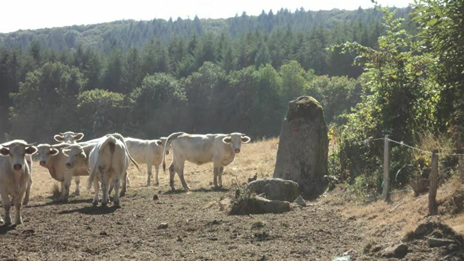 Les curiosités naturelles de St Saulge