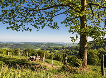 Panorama sur le Val de Loire - CHARRIN