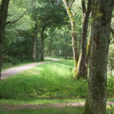 Sentier de la nature des étangs de Baye et Vaux du martin pêcheur 