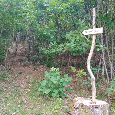 Domaine de Fangorn, Cabane du Druide