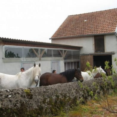 Centre de Tourisme Equestre 'Tout Crin'