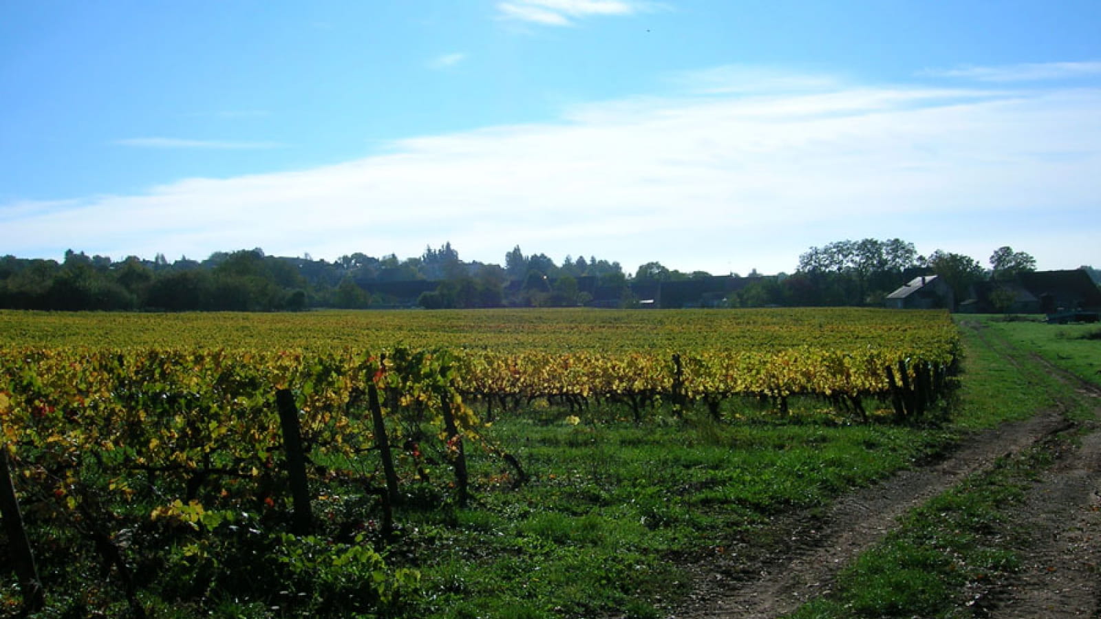 Domaine de Riousse