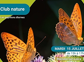 Sortie 'Papillons diurnes' - MESVES-SUR-LOIRE