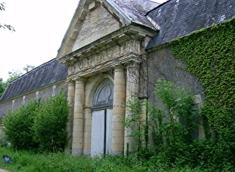 Dans la forêt lointaine de Châteauneuf - CHATEAUNEUF-VAL-DE-BARGIS