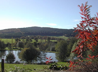 CAMPING CARPODROME L'ÉTANG DE LA FOUGERAIE - SAINT-LEGER-DE-FOUGERET