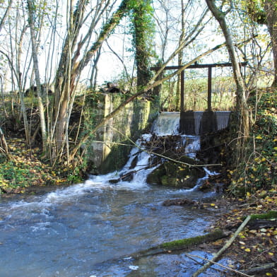 La Balade au cours de l'eau