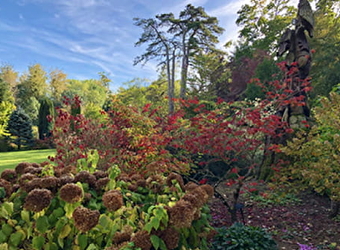 Jardin de Forgeneuve - COULANGES-LES-NEVERS