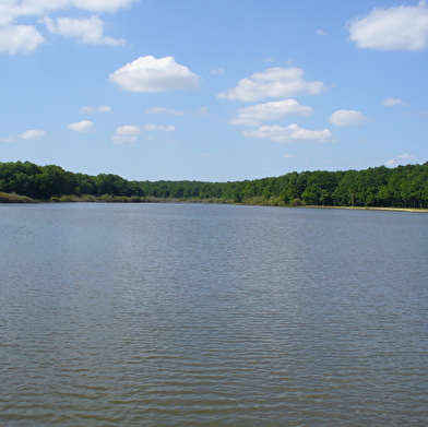 Etang de la Perchette