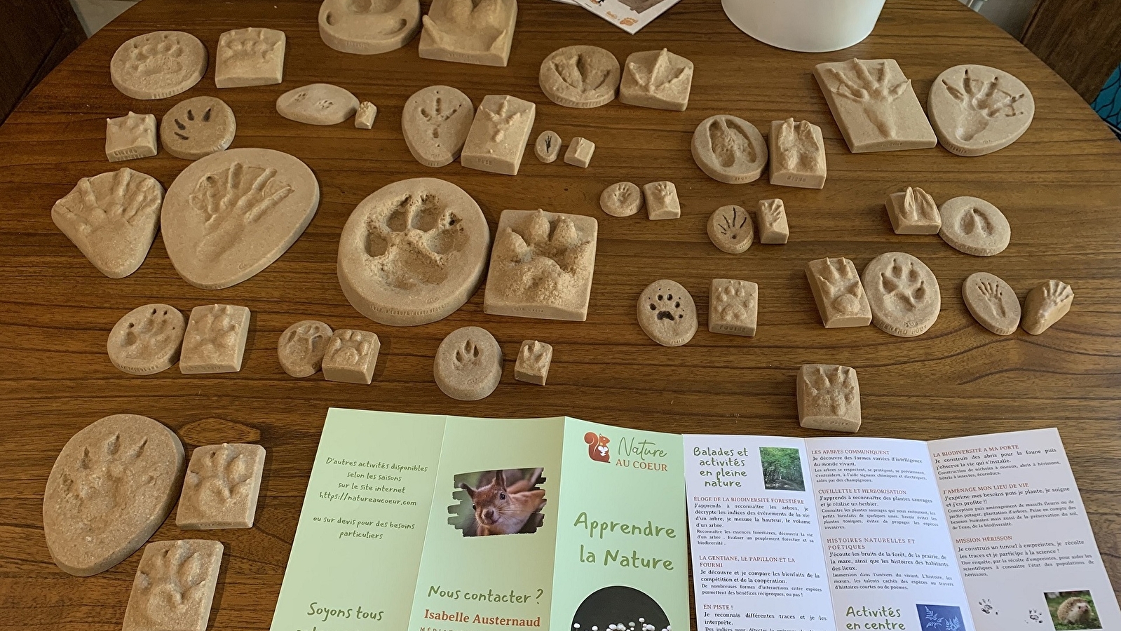Atelier nature : En piste !