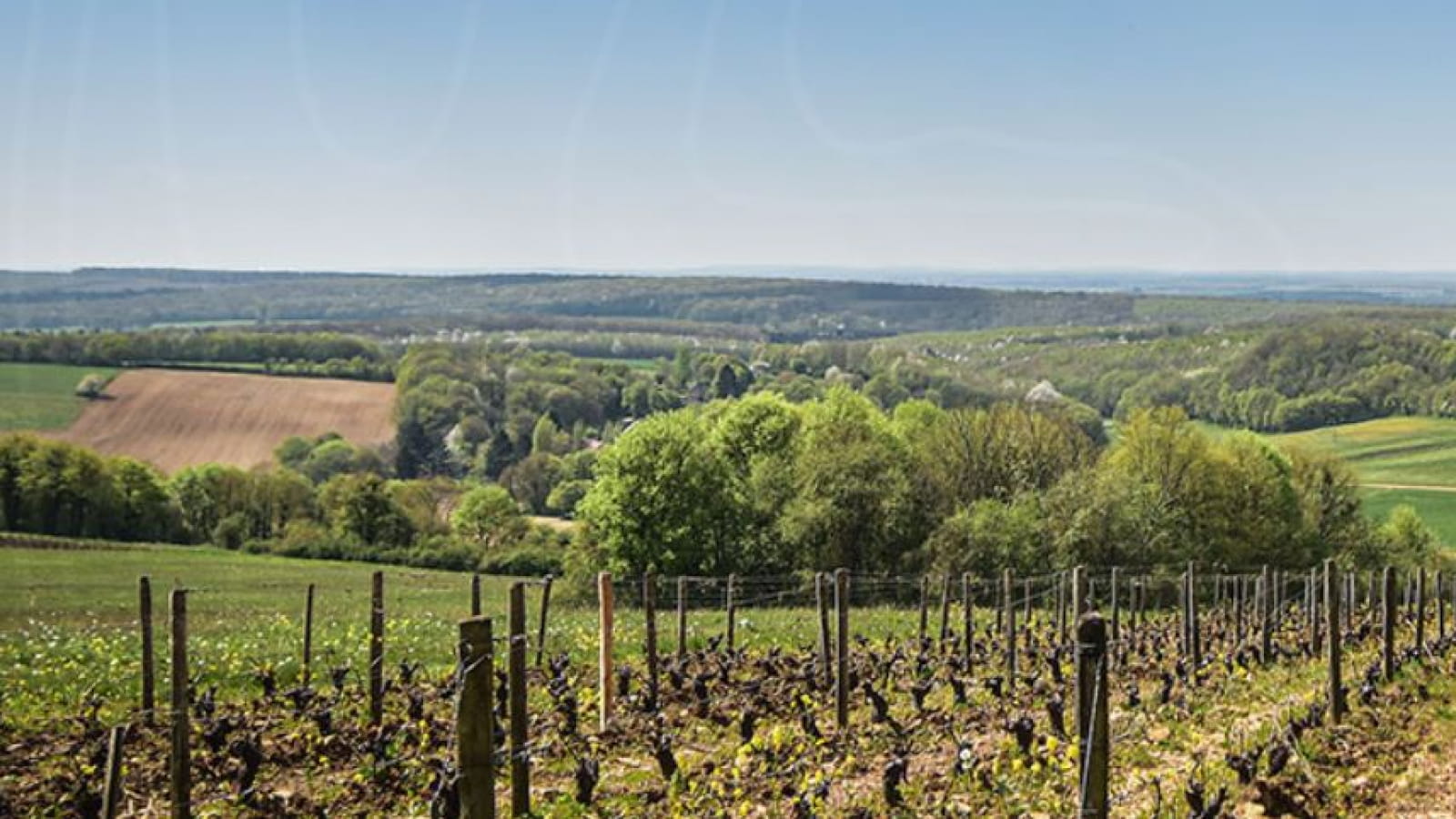 Domaine de la Coquillerie