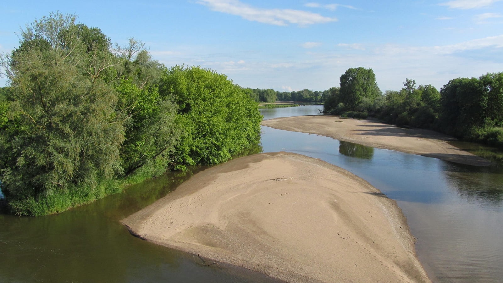 Piafs de Loire et compagnie sur la Réserve Naturelle Nationale du Val de Loire
