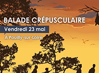 Le Val de Loire au crépuscule - POUILLY-SUR-LOIRE