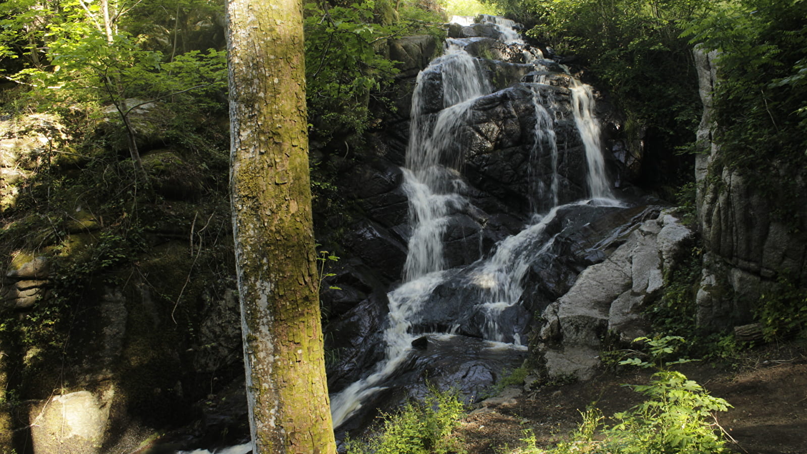 Découverte des gorges de Narvau