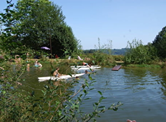 La forêt du Morvan - LAROCHEMILLAY