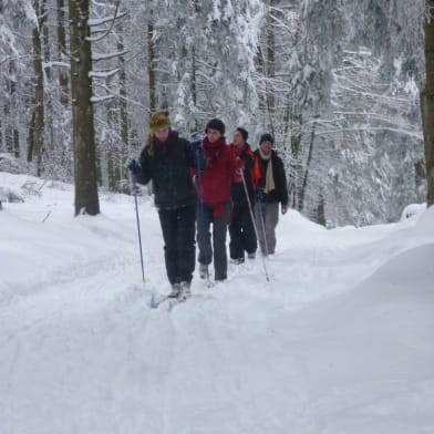 Association SKIMO ou comment skier sur le massif du Haut Folin