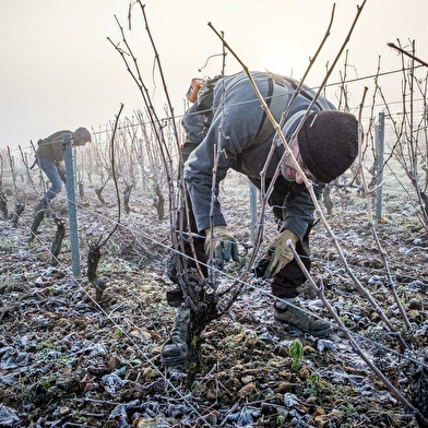 Domaine Champeau