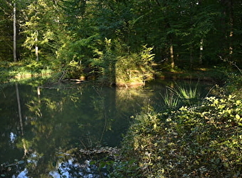Fontaine en Bertranges - RAVEAU