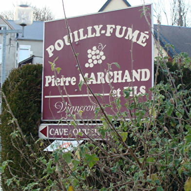 Domaine Pierre Marchand et Fils