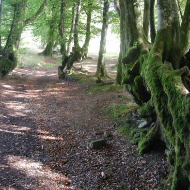 Le mont Beuvray, au coeur du Morvan