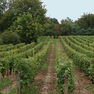 Domaine de Fontaine