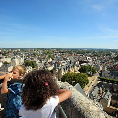 Visite guidée : La cathédrale de bas en haut