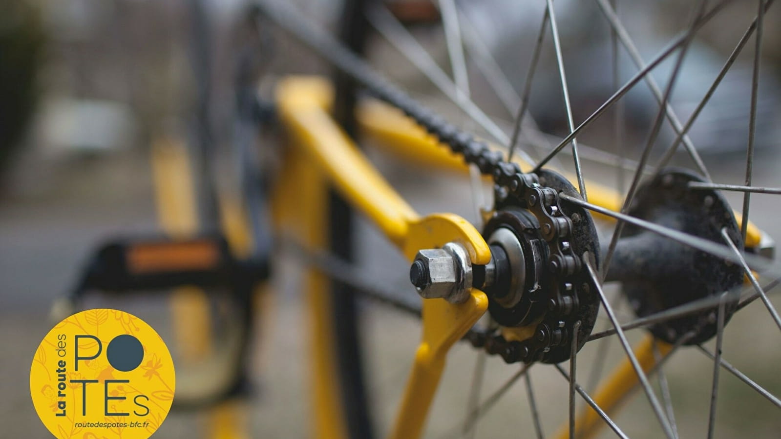 'Tous en selle' - Atelier réparation de vélo