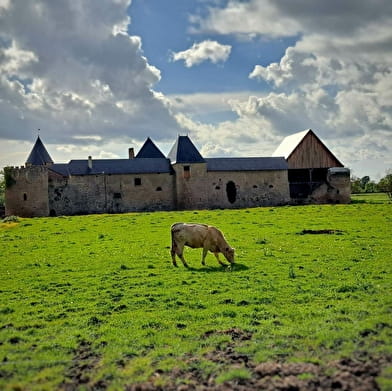 Visite du  Château Médiéval de Villars   