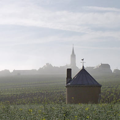Domaine Serge Dagueneau et Filles