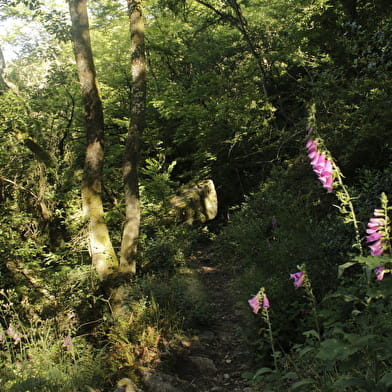 Découverte des gorges de Narvau