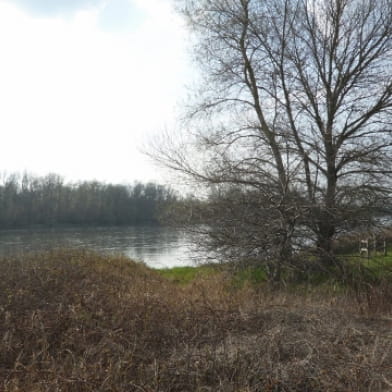 La Loire : fleuve indomptable