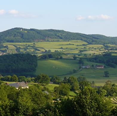 La chapelle du Banquet