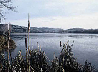 Camping municipal du Lac - MONTIGNY-EN-MORVAN