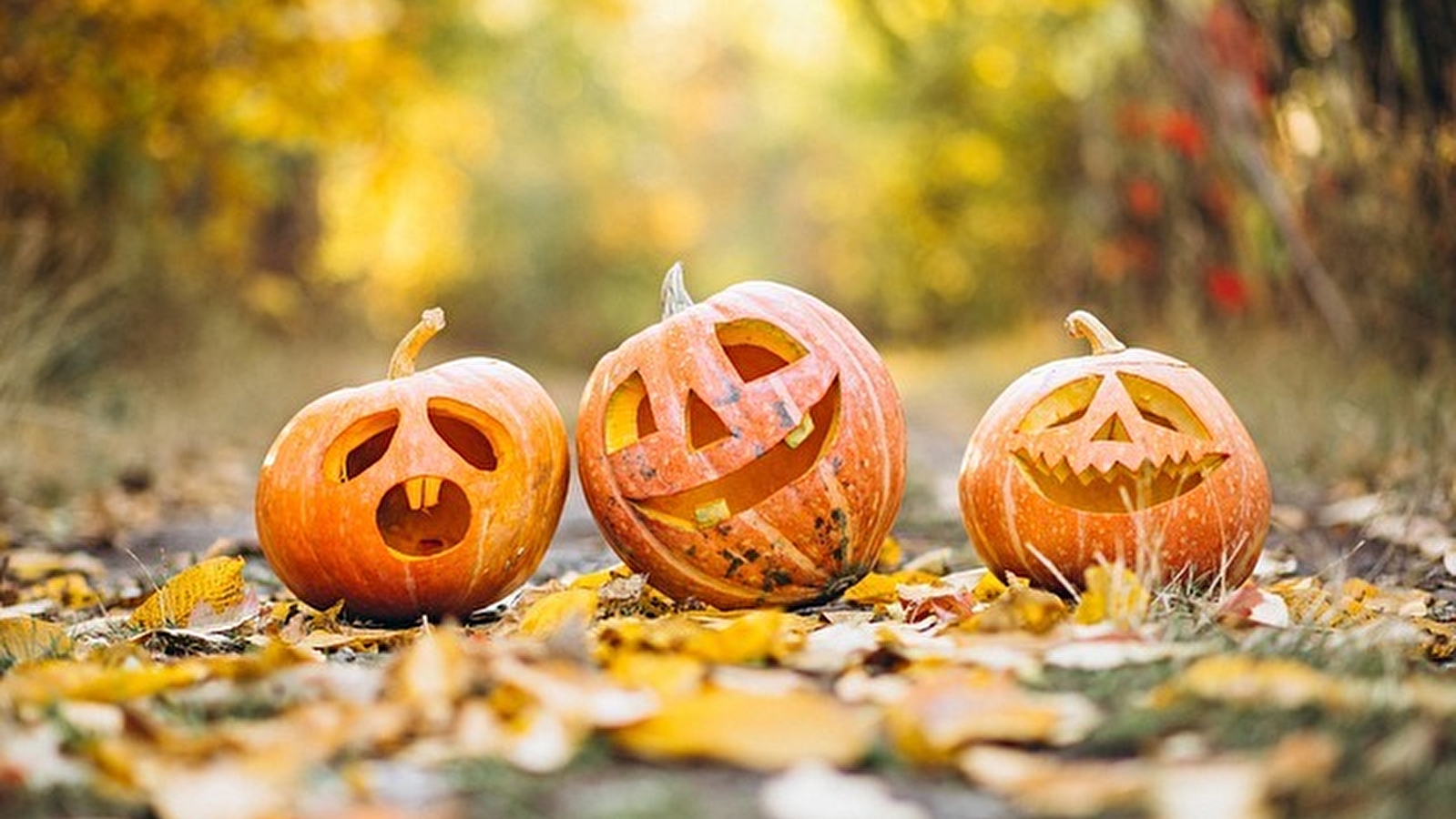 Soirée Halloween à Apremont sur Allier