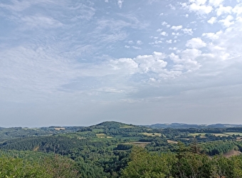 Visite zoom : les paysages du Morvan, hier et aujourd'hui - SAINT-BRISSON