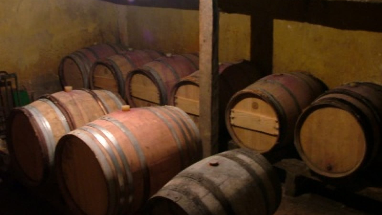 Domaine de la Petite Forge