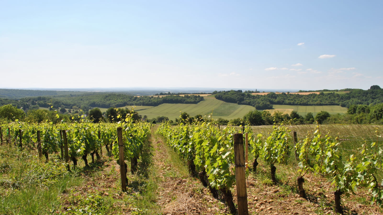 Domaine du Puits de Compostelle