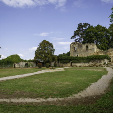 Vieux Château de Moulins-Engilbert