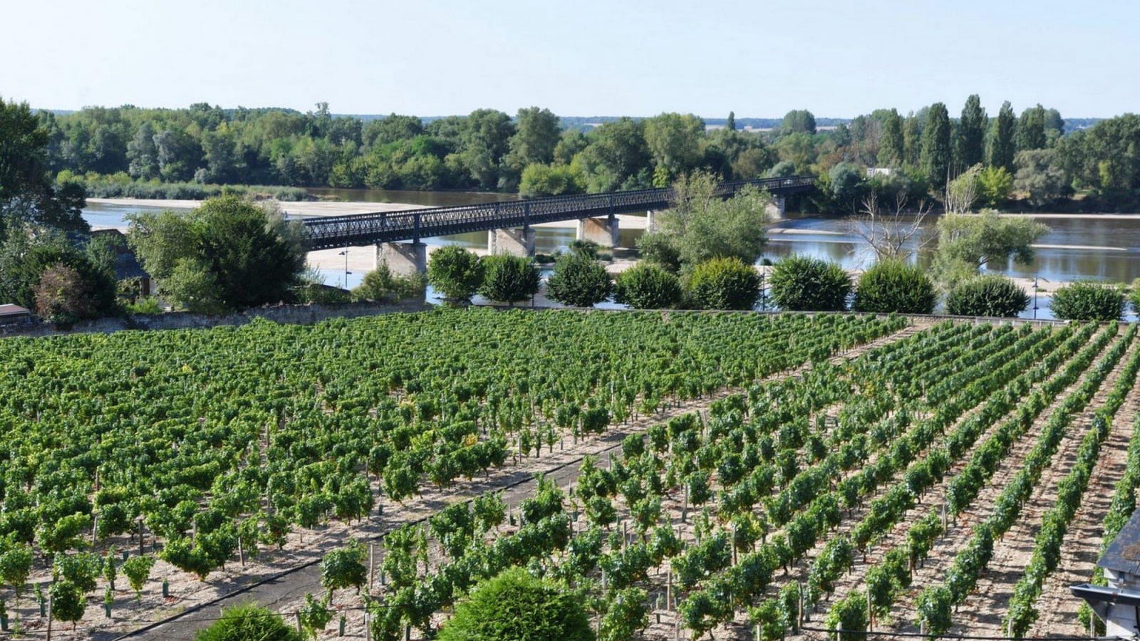 Gîte Loire et Vignoble