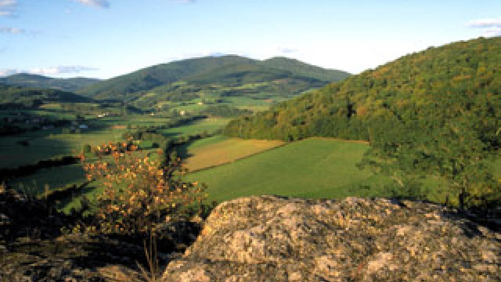 Le Massif du Morvan