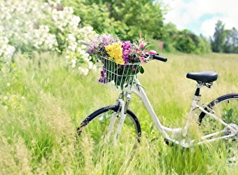 Atelier Luzycyclette - EBE L'Etabli - LUZY