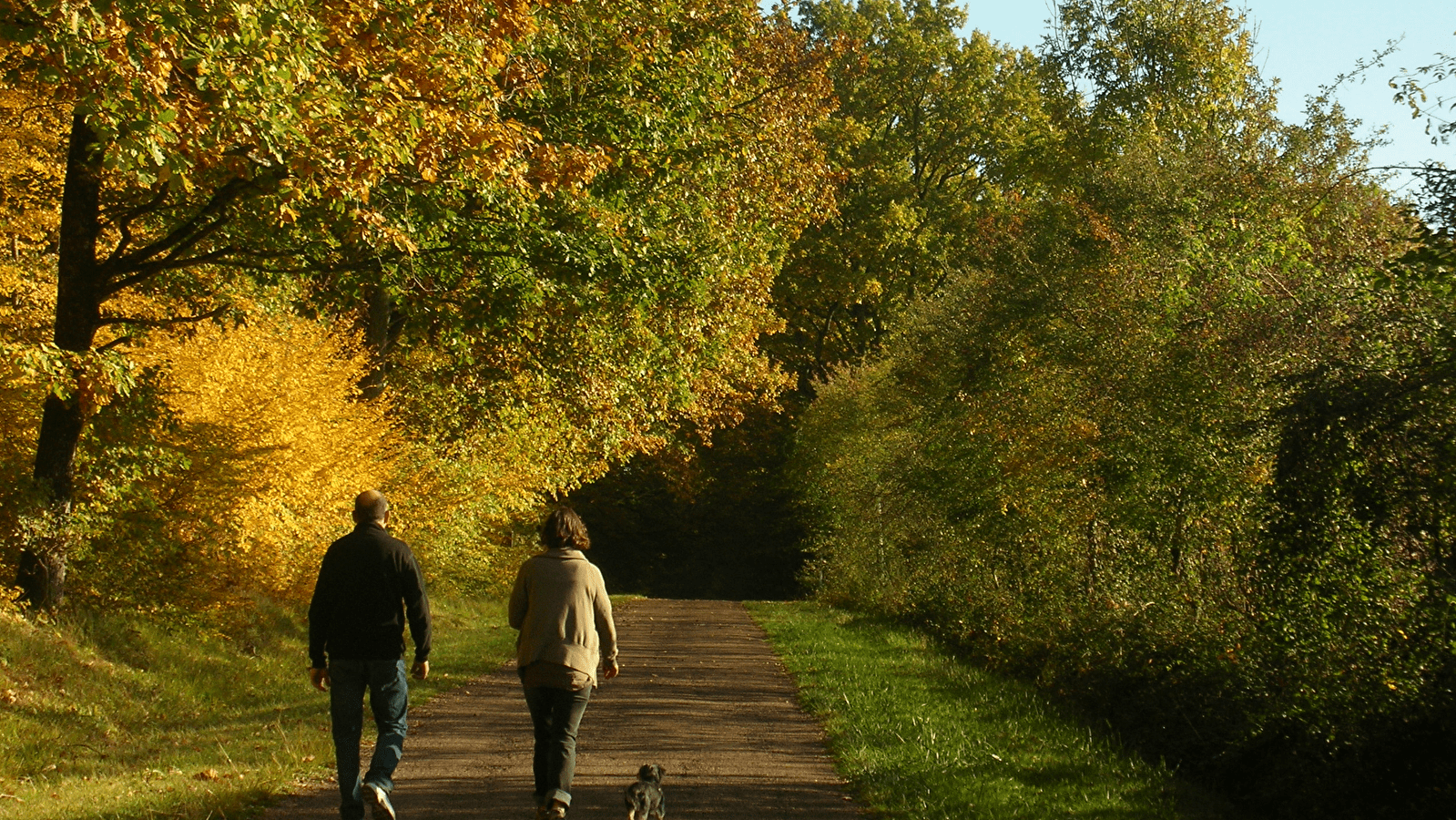 Forêt des Bertranges