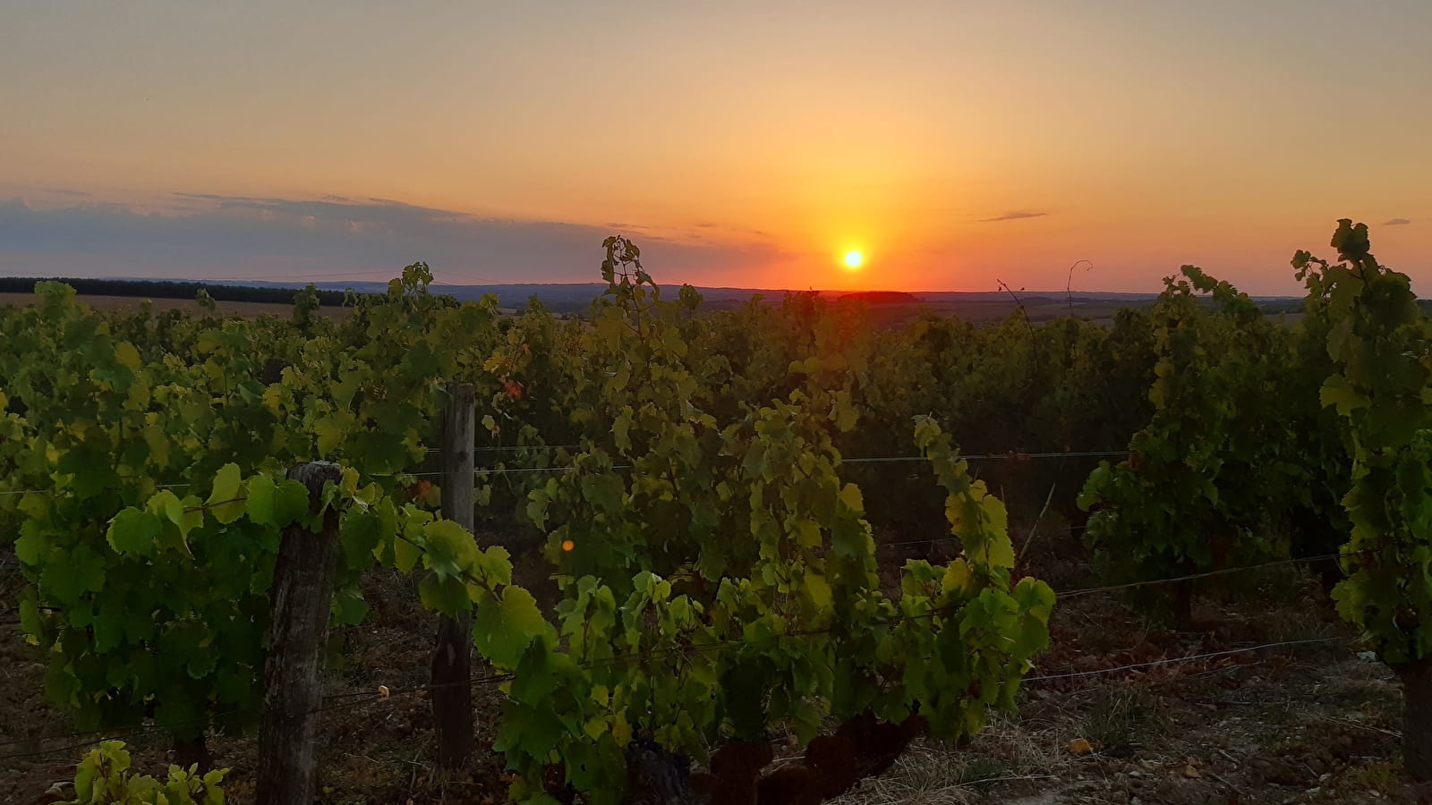 'It's Wine Time' dans un lieu chargé d'histoire, la Chapelle Sainte-Brigitte, à Villechaud