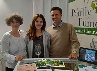Domaine Chauveau - SAINT-ANDELAIN